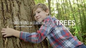 Image of Learning About Trees