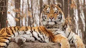 Image of Exploration Wednesdays kicks off Oct. 10 at 8/7c