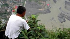 Image of Fallen City