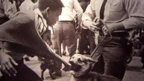 Image of Methodist Gay Marriage, Civil Rights 50th Anniversary