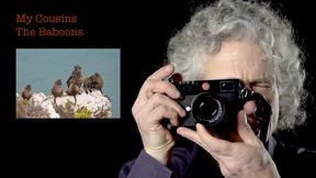 Image of Steven Pinker: My Cousins The Baboons