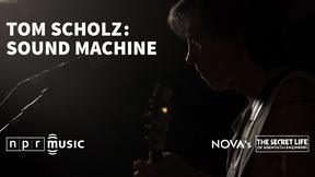 Image of Tom Scholz: Sound Machine