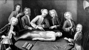 Image of The Rise of the Body Snatchers