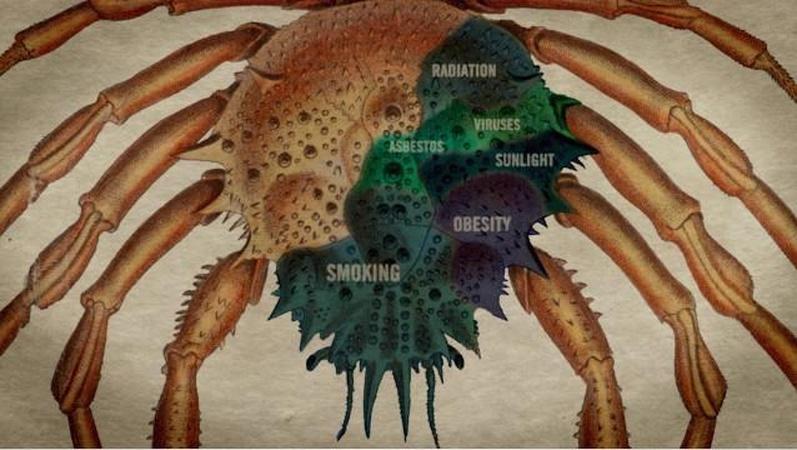 Causes of Cancer