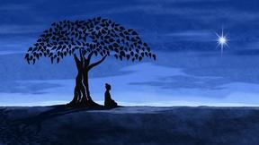 Image of The Buddha - Preview