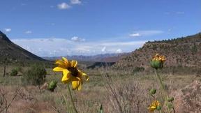 Image of Visiting Range Creek