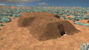 Image of Large Pit House