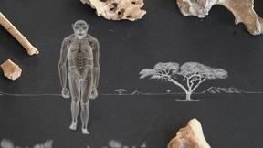 Image of Amazing Places, Amazing Fossils: Lucy