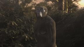 Image of Ancient Human Ancestors: Walking in the Woods