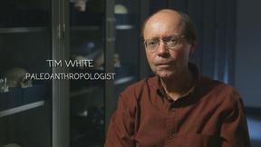 Image of Extended Interview: Tim White