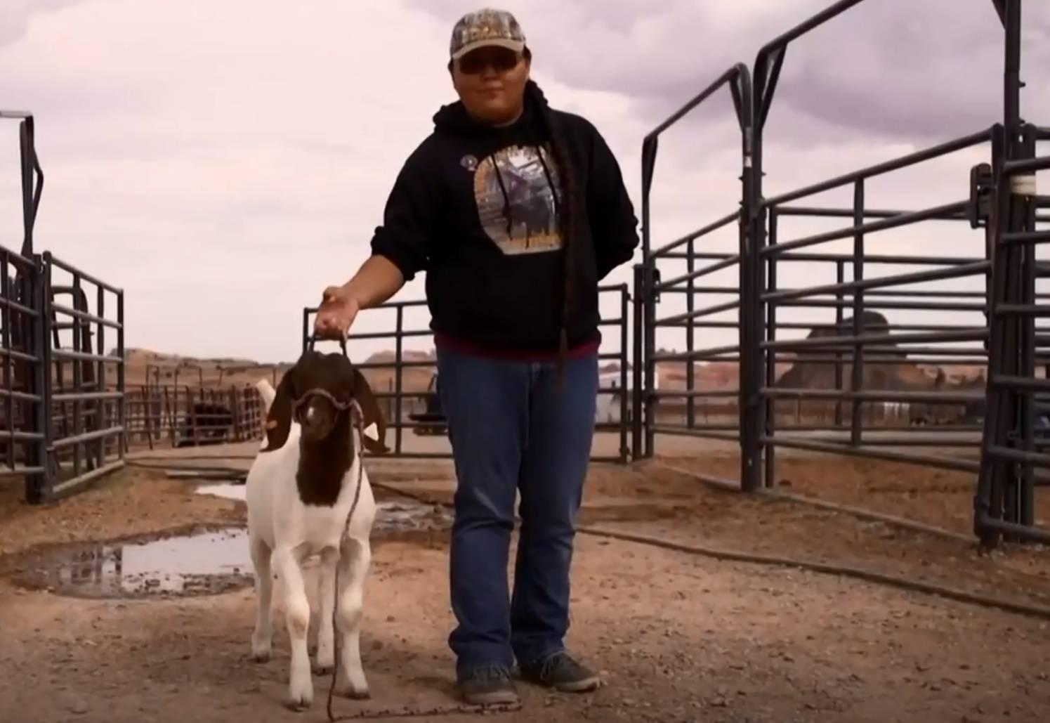 A student works with a goat at the Monument Valley High School
