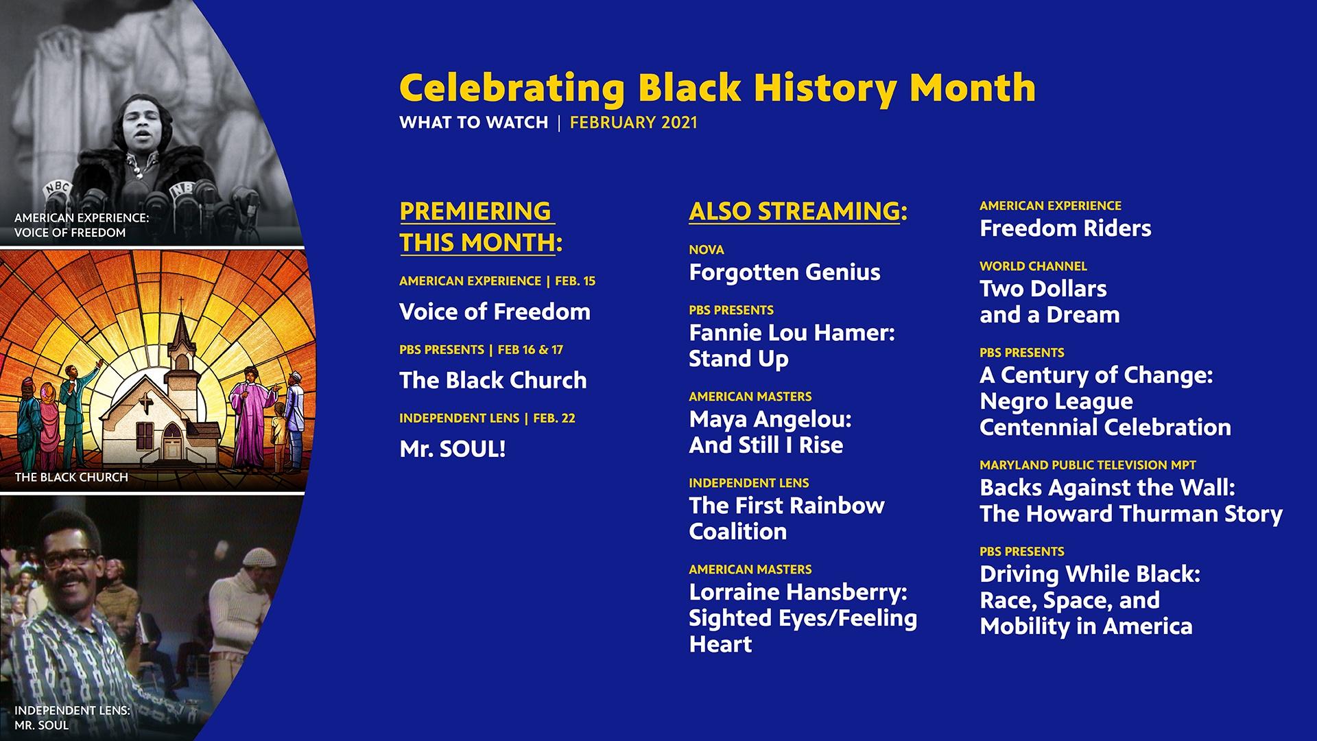 What to Watch February 2021 - Celebrate Black History Month