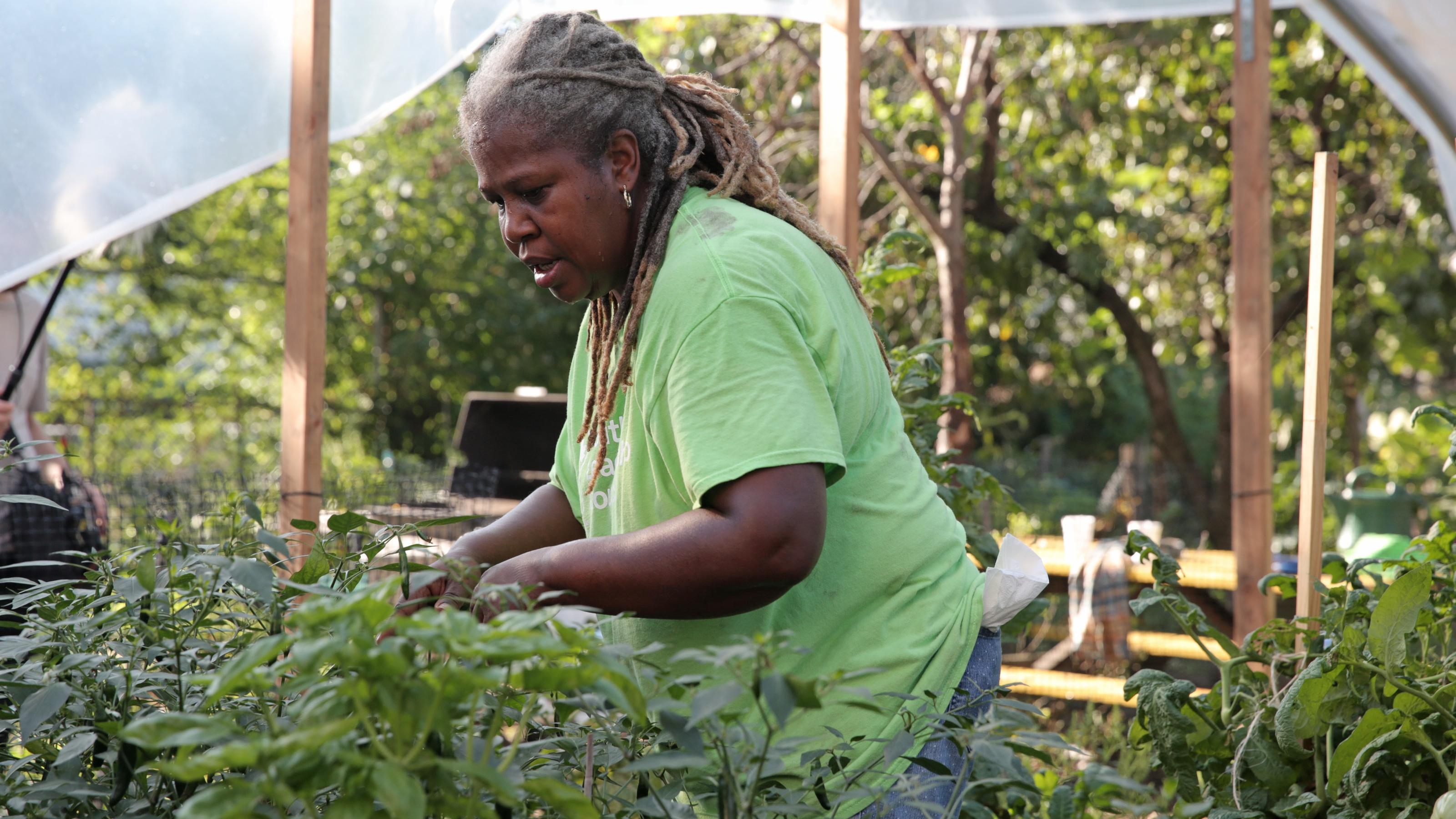 Karen Washington works in her vegetable garden in the Bronx