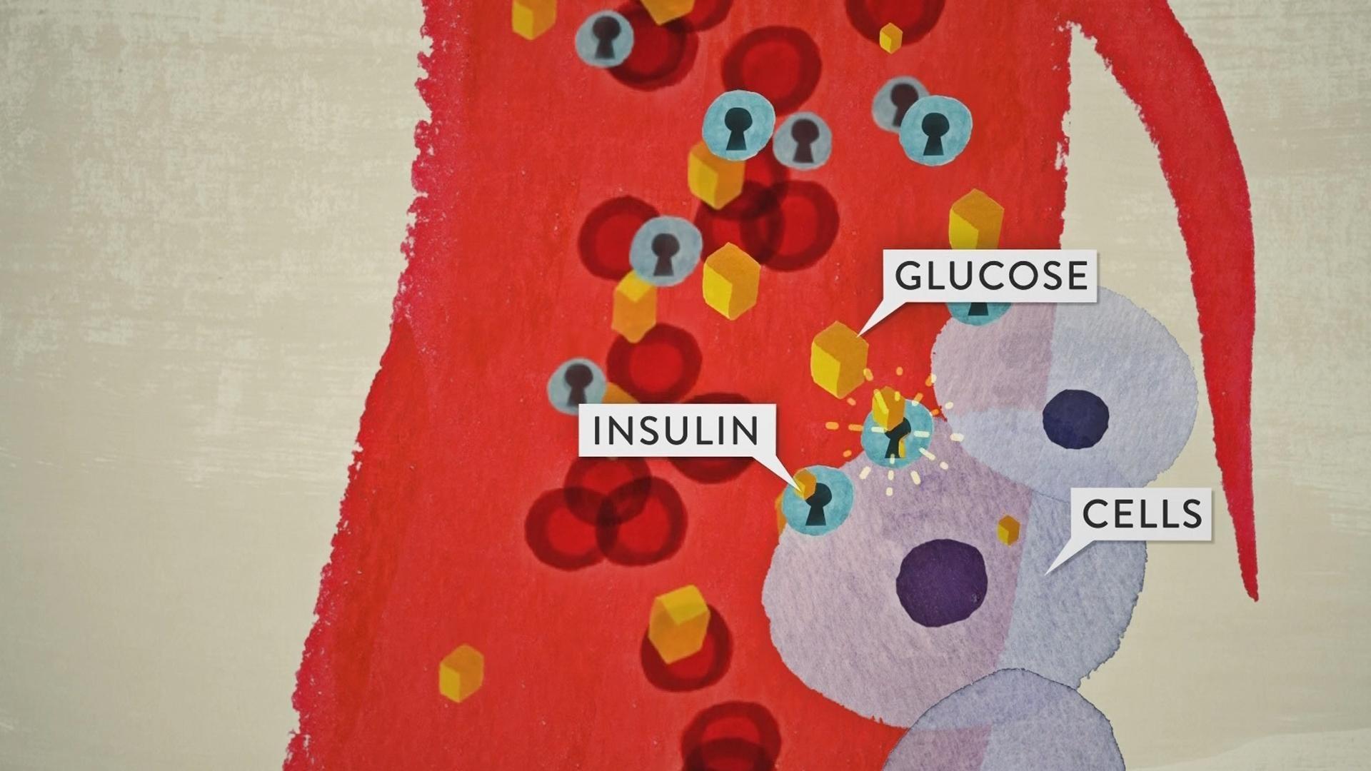 An illustration showing insulin and glucose reacting with the body's cells