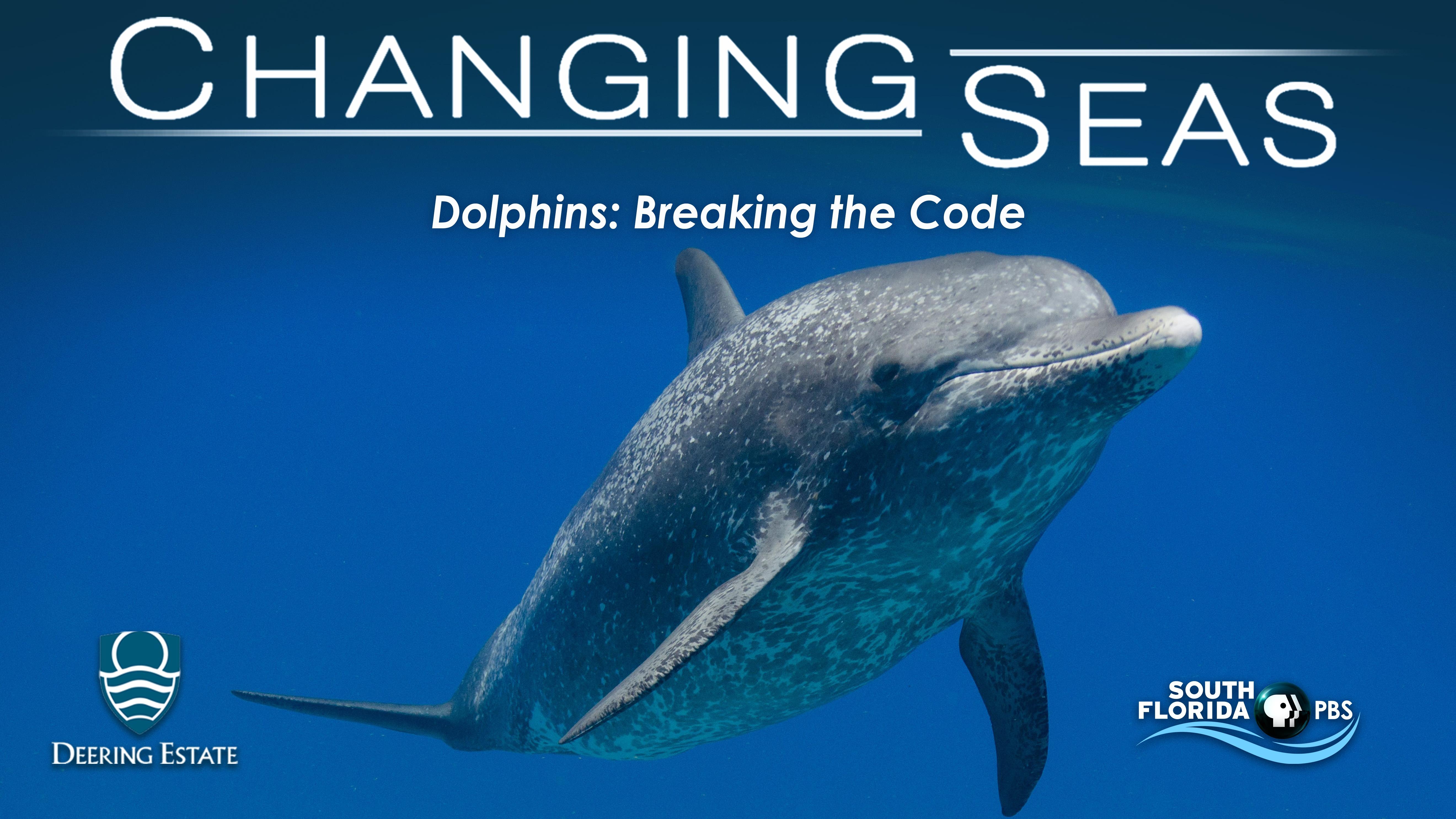 Screening of Dolphins: Breaking the code