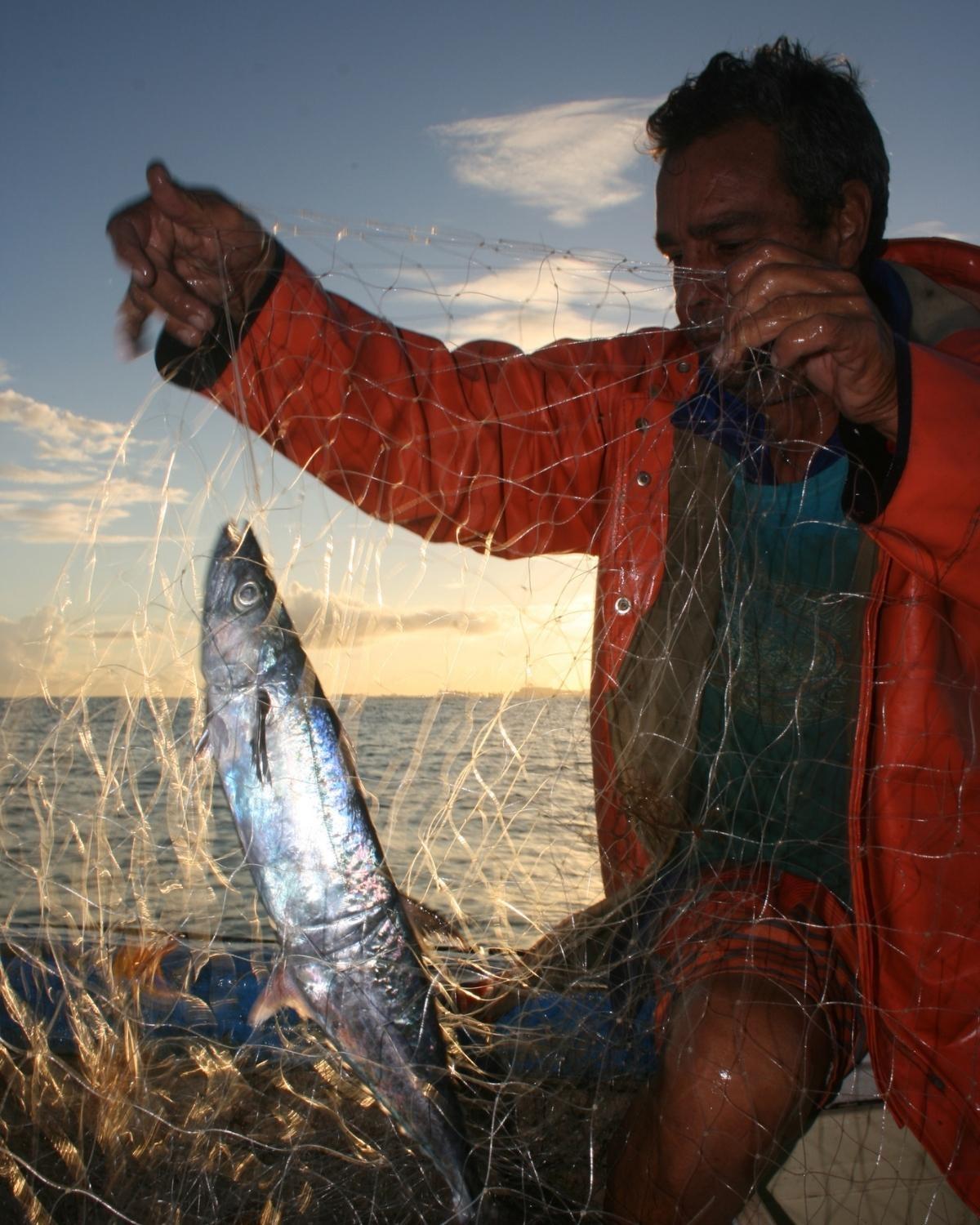 Filer image
