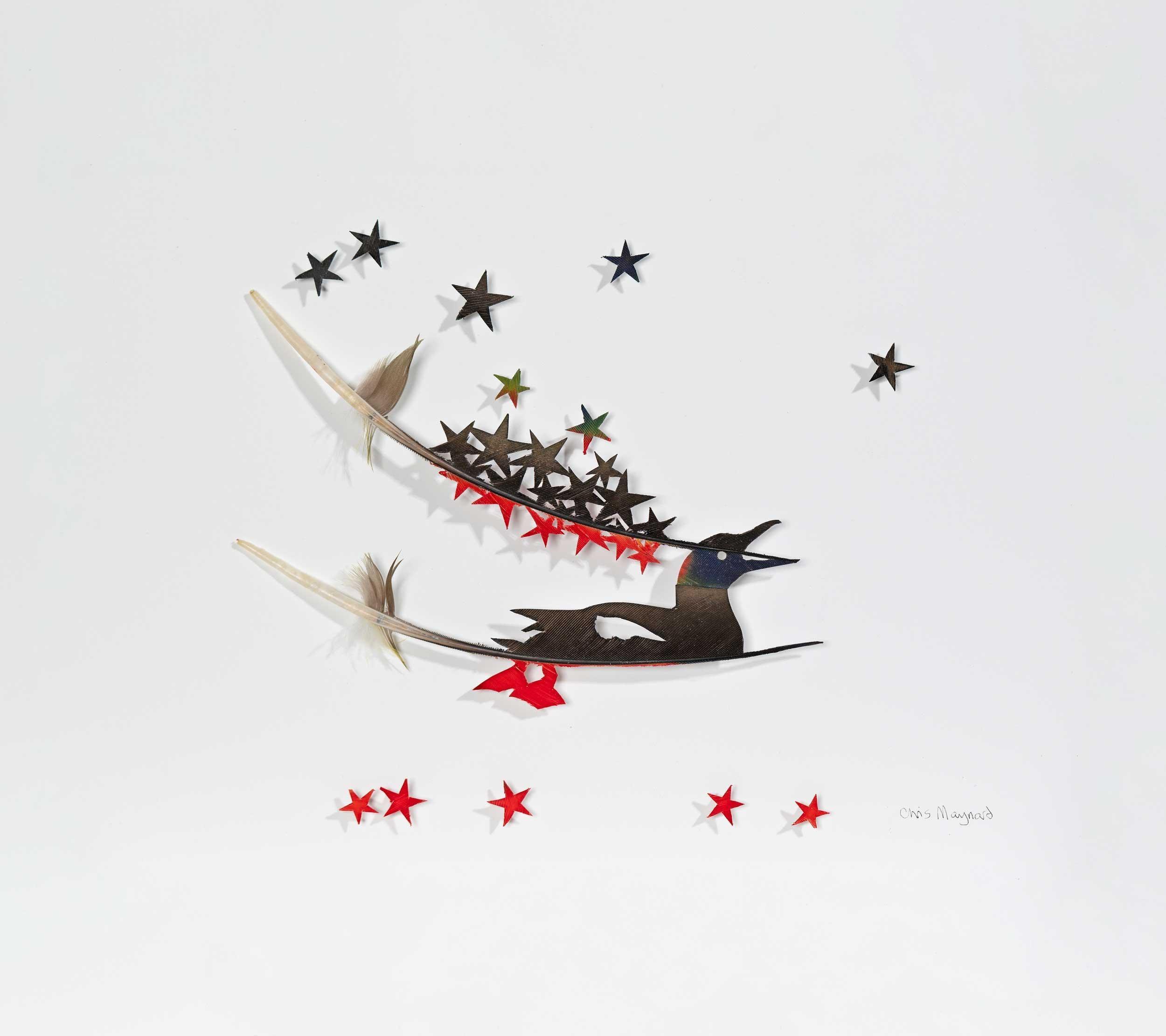 Chris Maynard, Guillemot Creates the Starfish