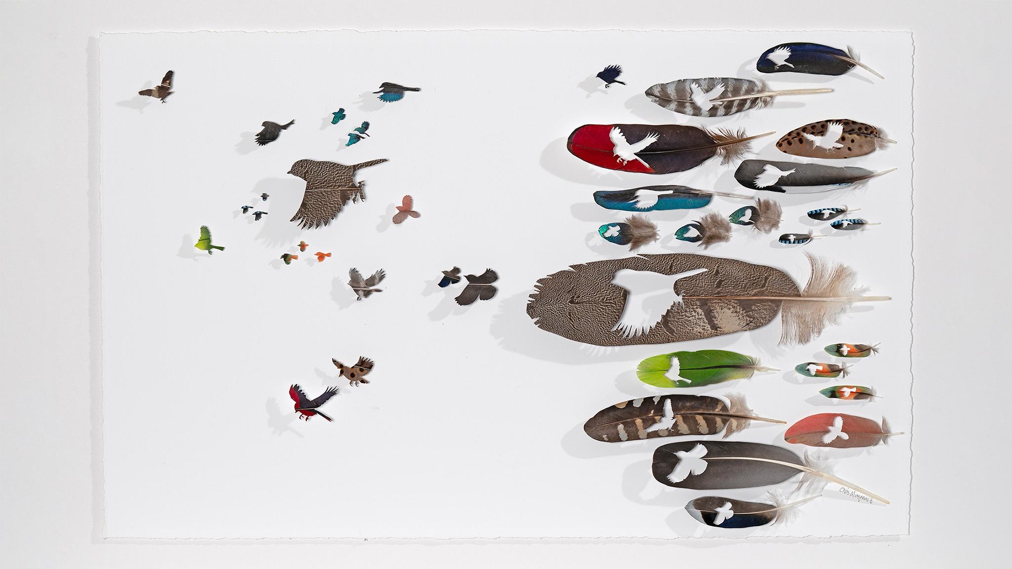 Bird feather with cut outs of bird silhouettes