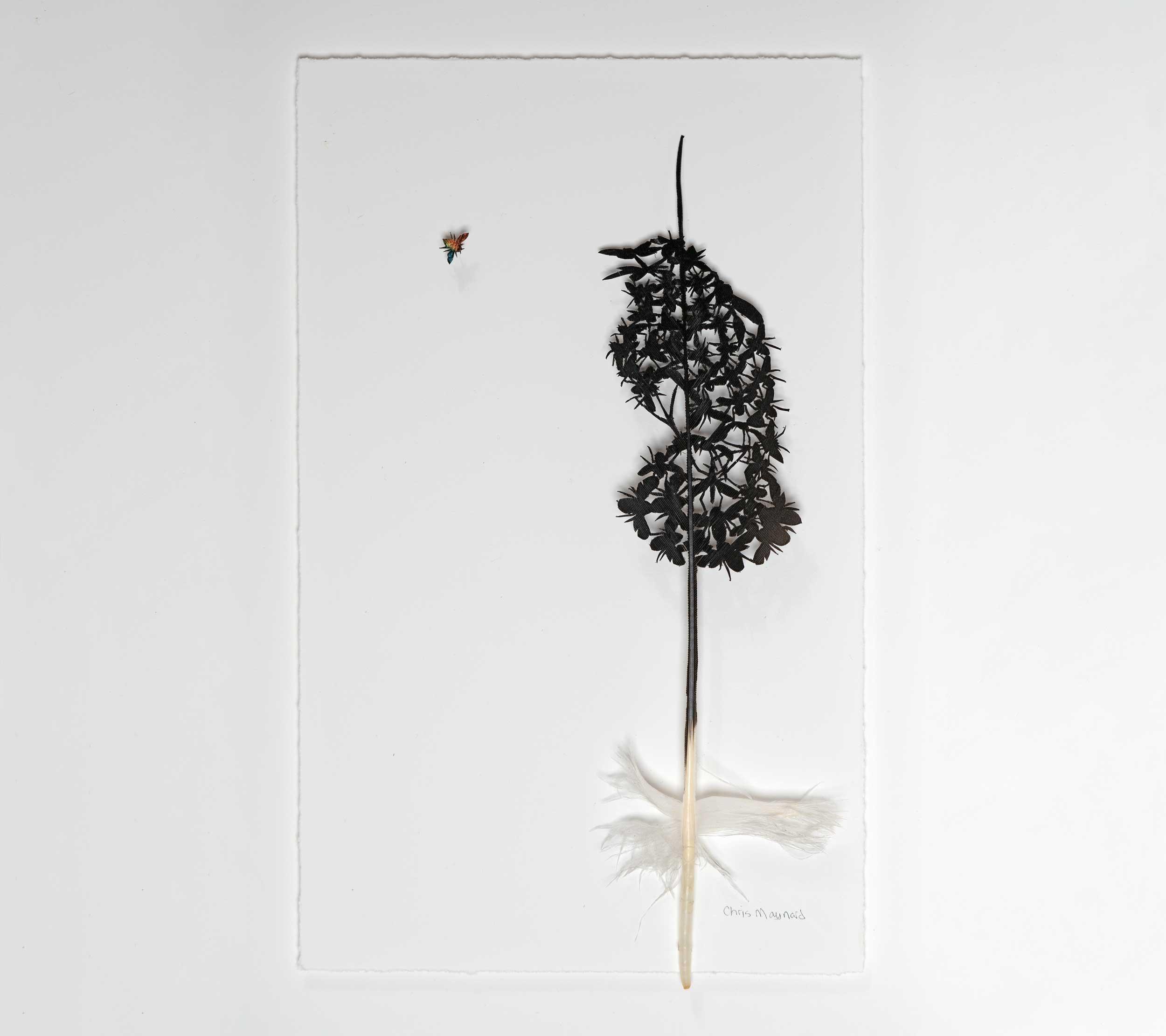 Chris Maynard, Bugbird