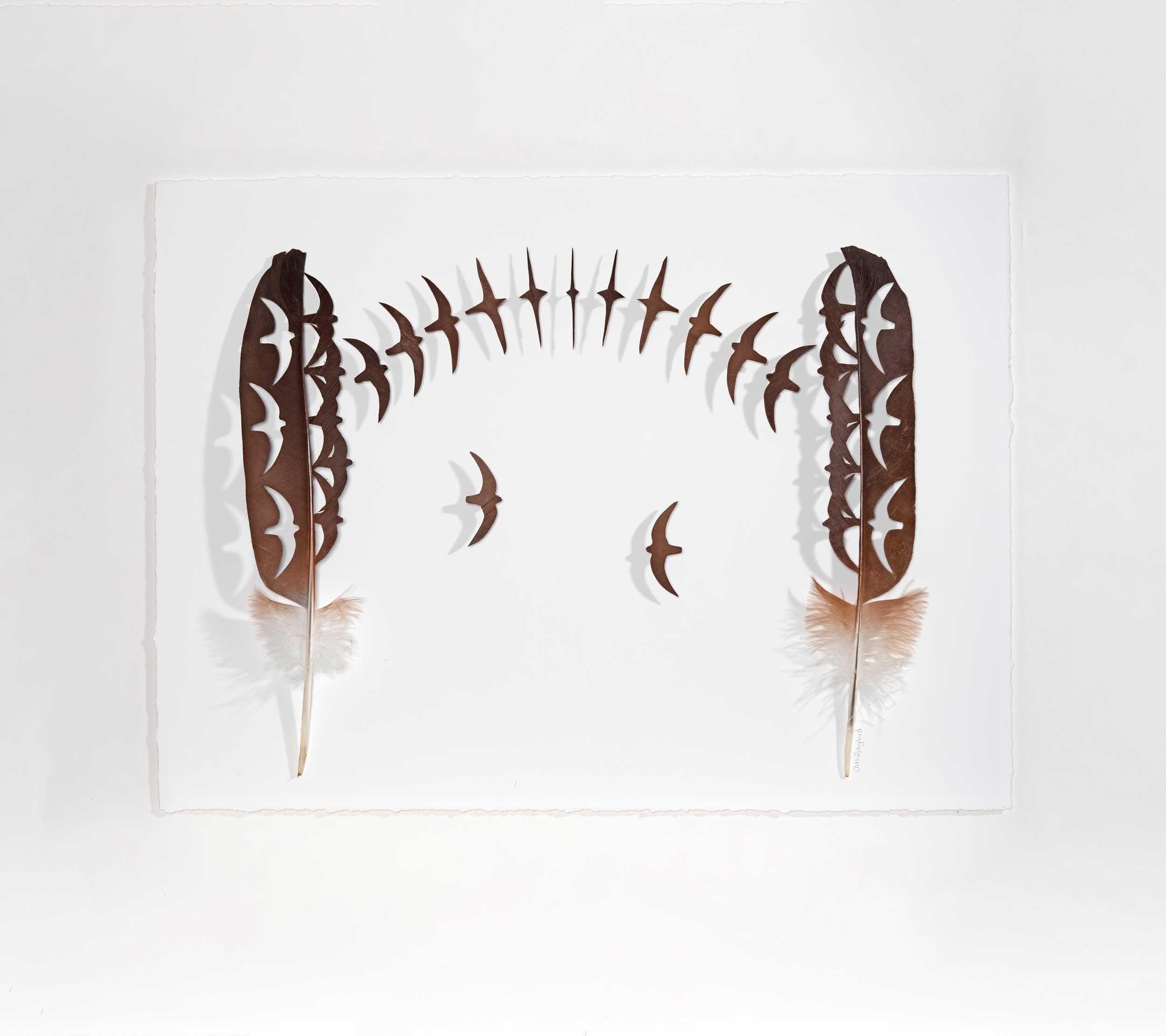 Chris Maynard, Swift Transformation
