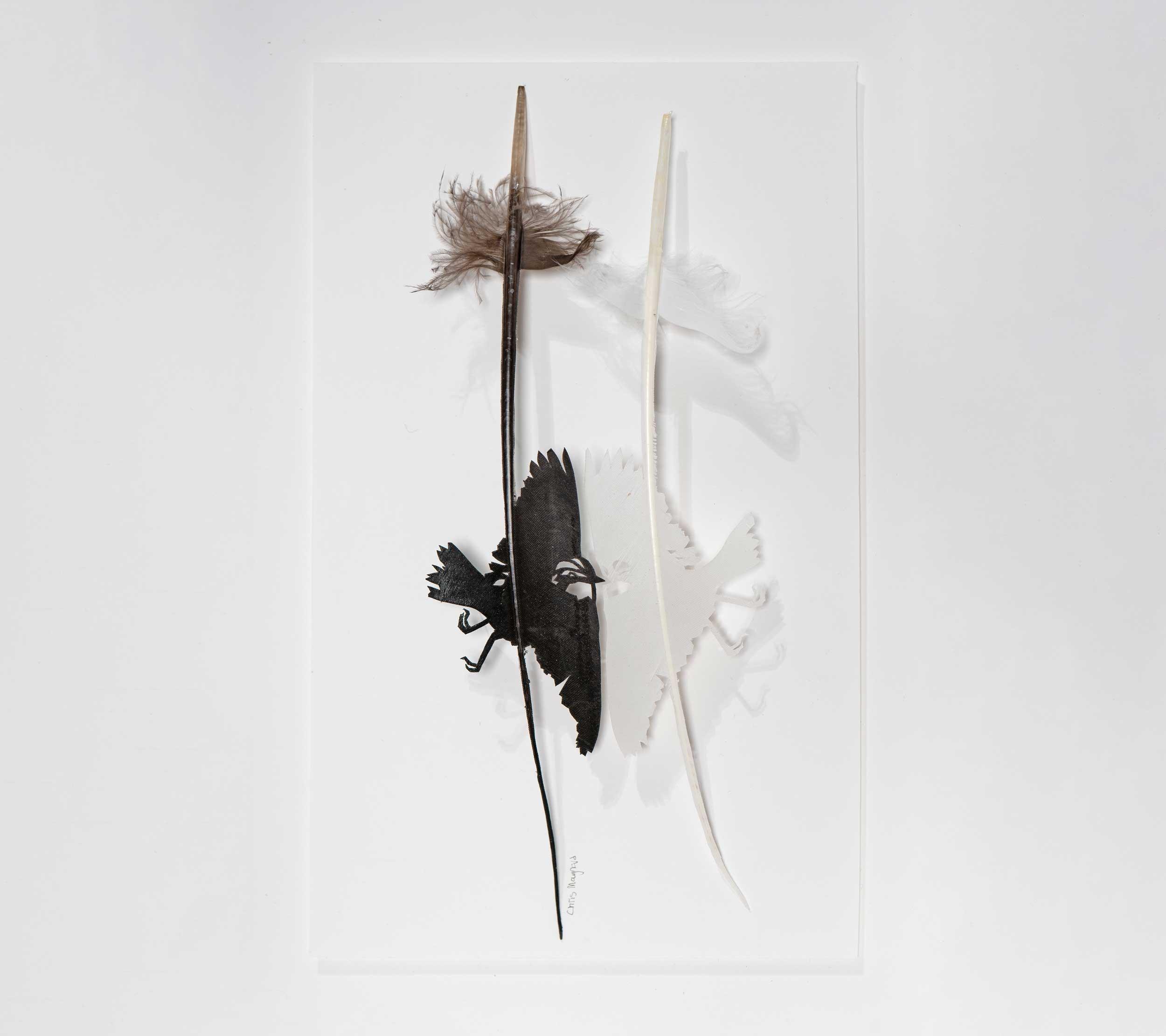 Chris Maynard, The Window, Miranda Brandon