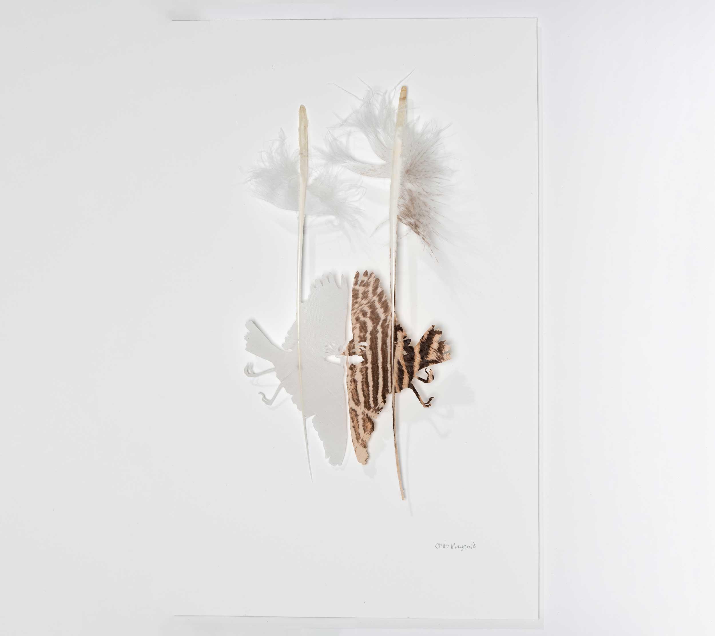 Chris Maynard, The Window, Miranda Brandon II