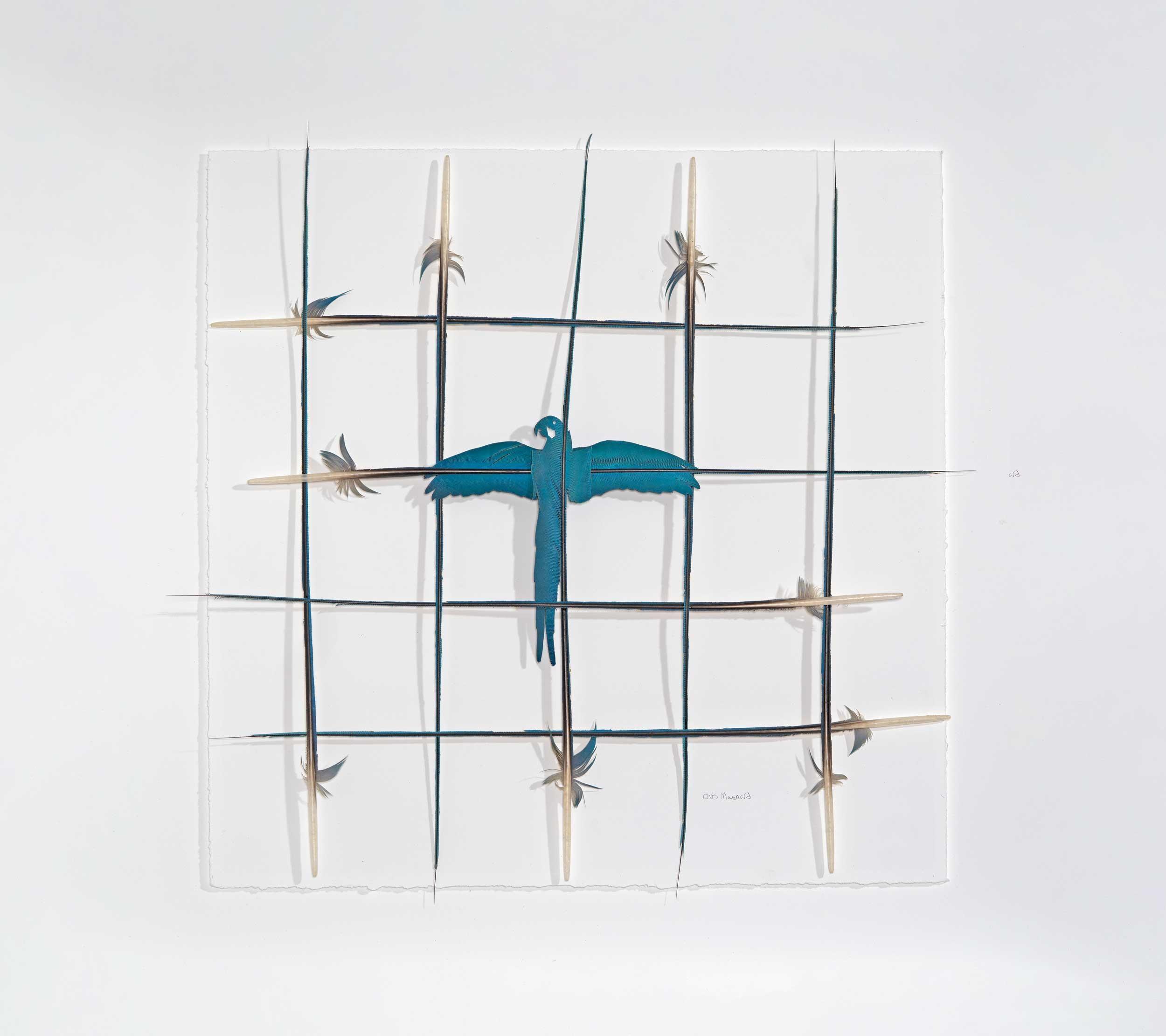 Chris Maynard, Rattle the Cage II