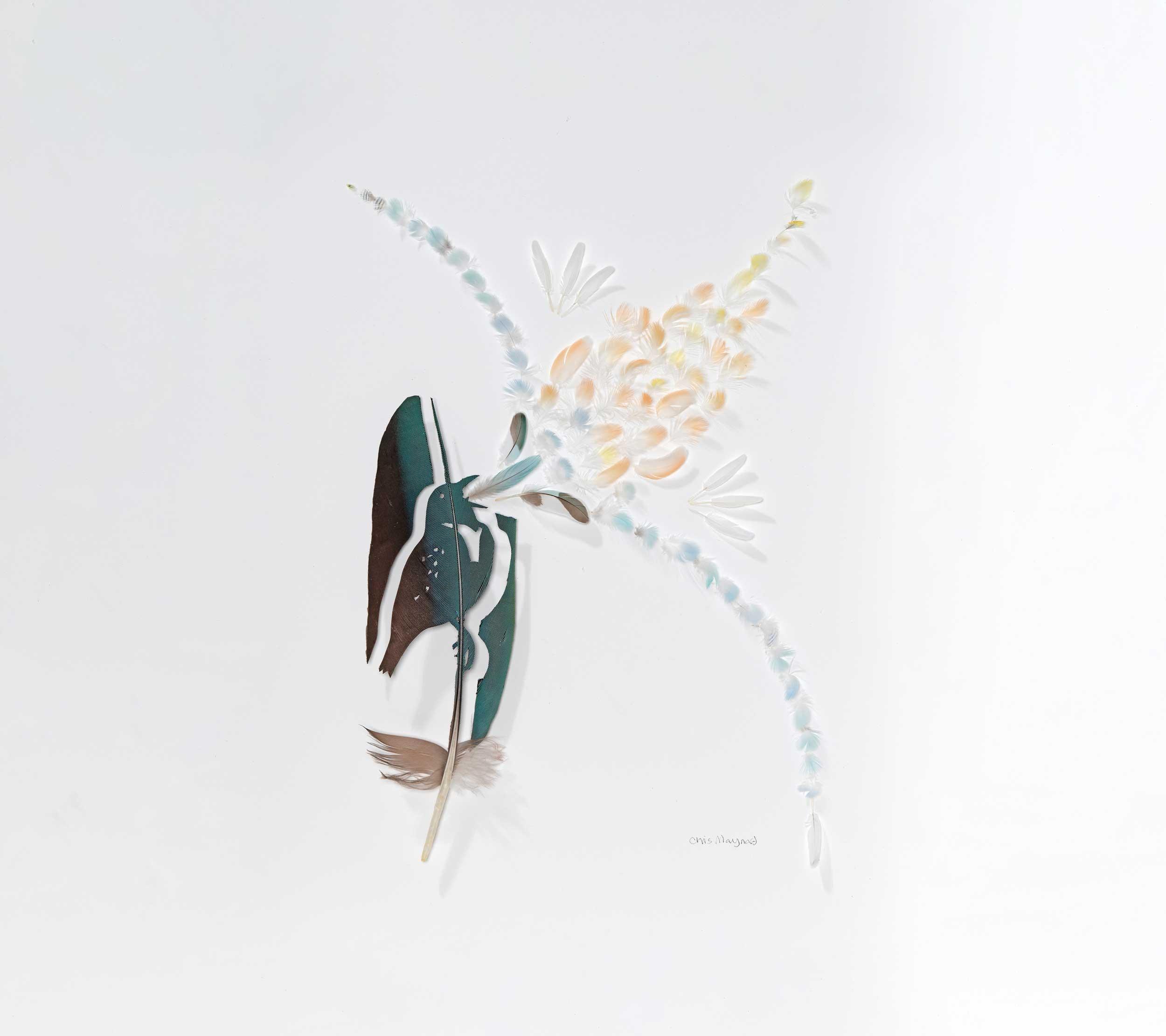 Chris Maynard, Meadow Harken