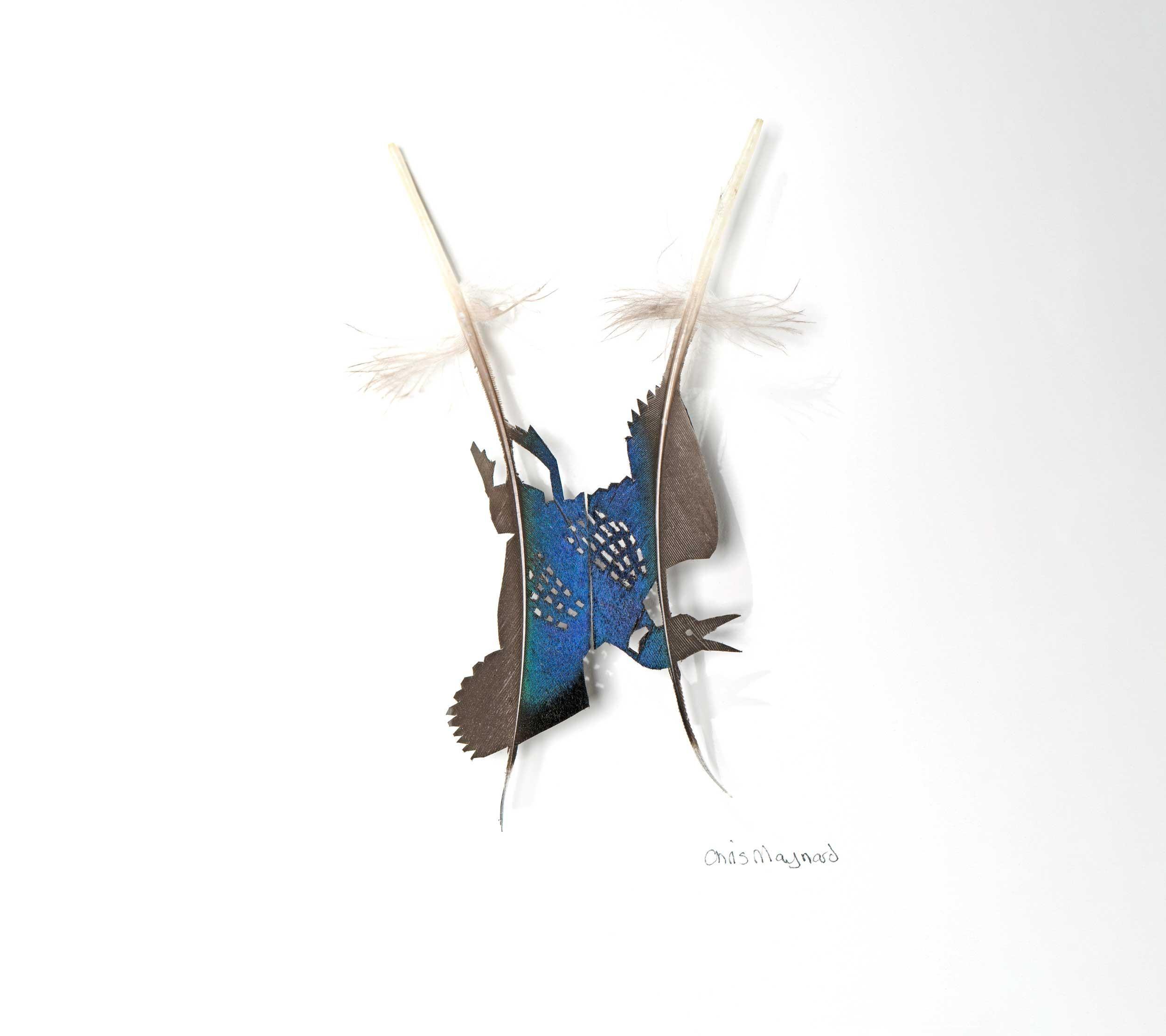 Chris Maynard, Diving Loon study #4