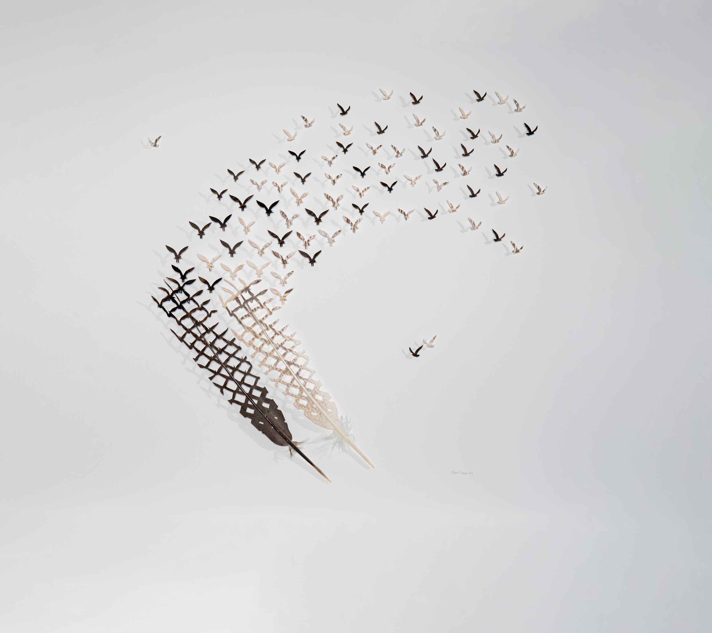 Chris Maynard, Glorify
