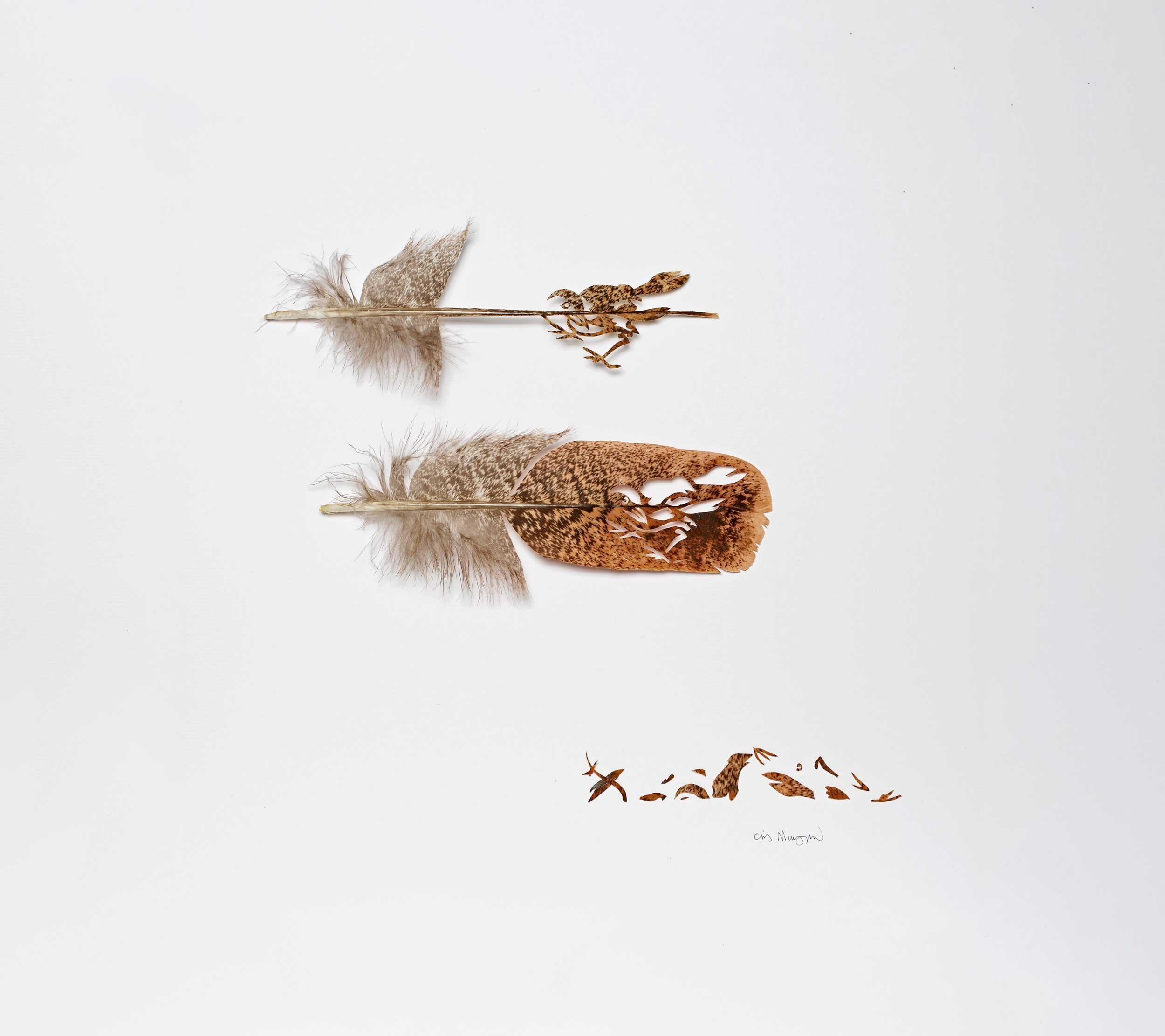 Chris Maynard, Andrea's Birds