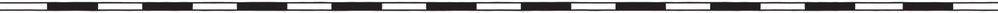 white and black striped divided line