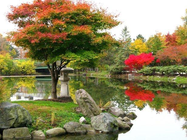 Japanese Garden and Mirror Lake in Delaware Park.