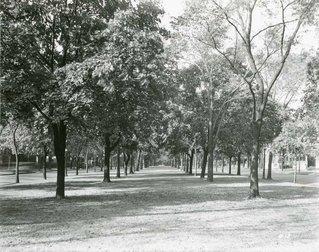 The Humboldt Parkway, 1935.