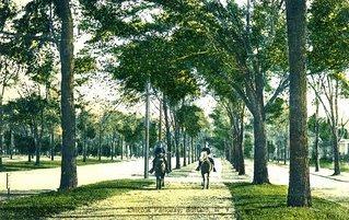 Lincoln Parkway, 1890. The Mendola Collection.