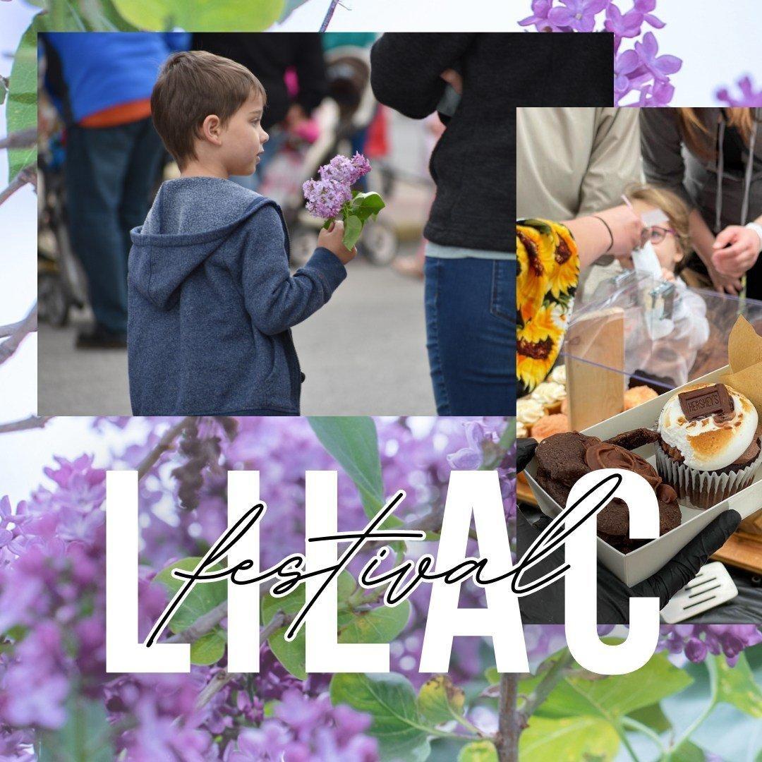 Lilac Festival. Picture of young boy holding lilacs. Lilacs pictured in background. Sweet treats shown.