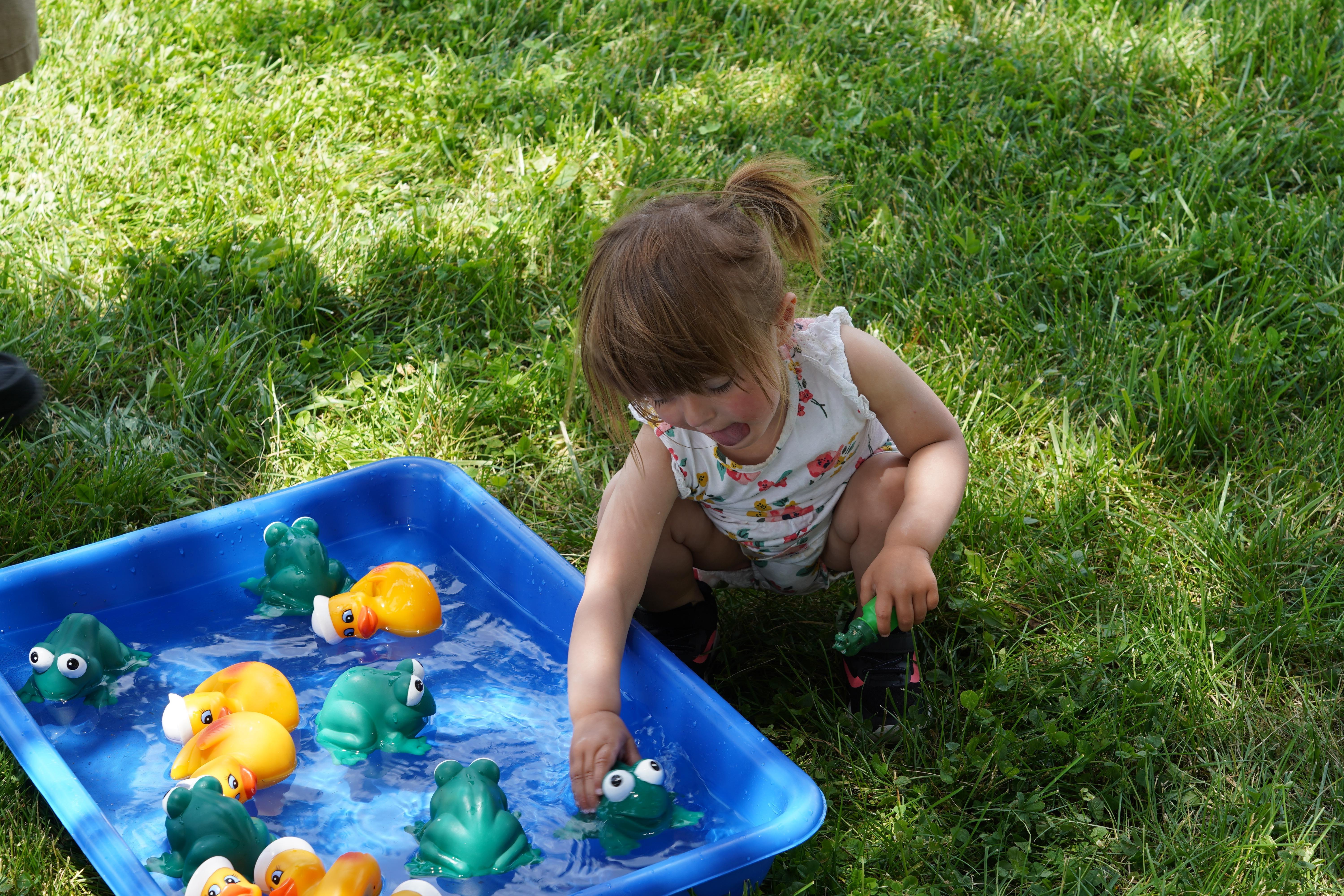 child playing with frogs in tote of water