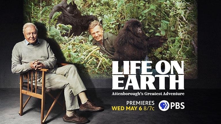 This image is a promotional poster for a television program featuring broadcaster David Attenborough. The program explores the history and creation of his landmark natural history series. 