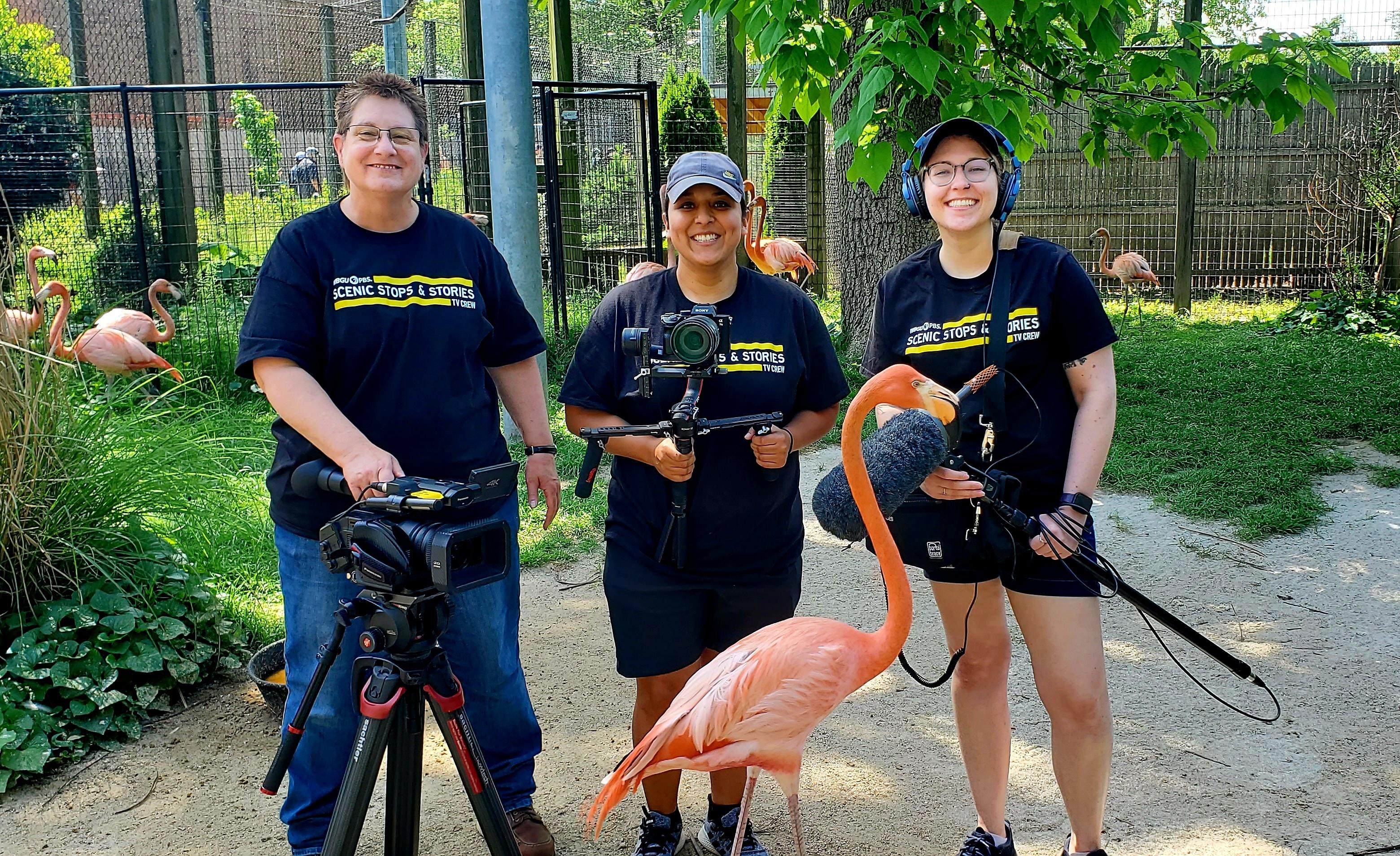 Videographers with a flamingo at the zoo.