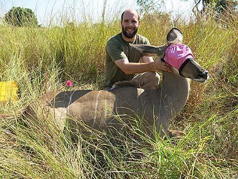 Ryan Long, Ecologist, University of Idaho with a kudu