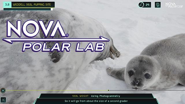 Nova - Polar Lab