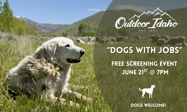 Dogs with Jobs Screening Event