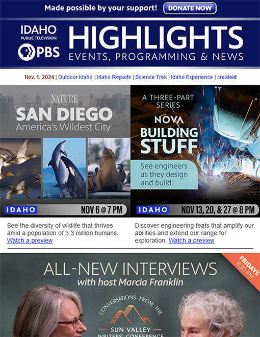 Overview of November Highlights Newsletter