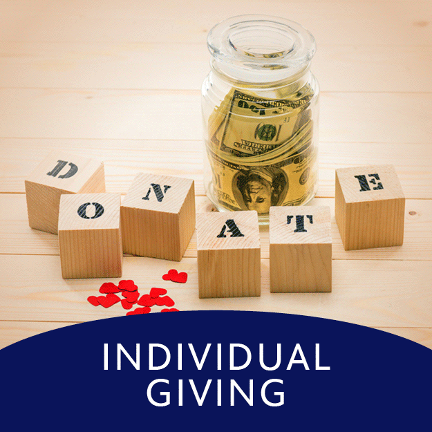 Individual Giving