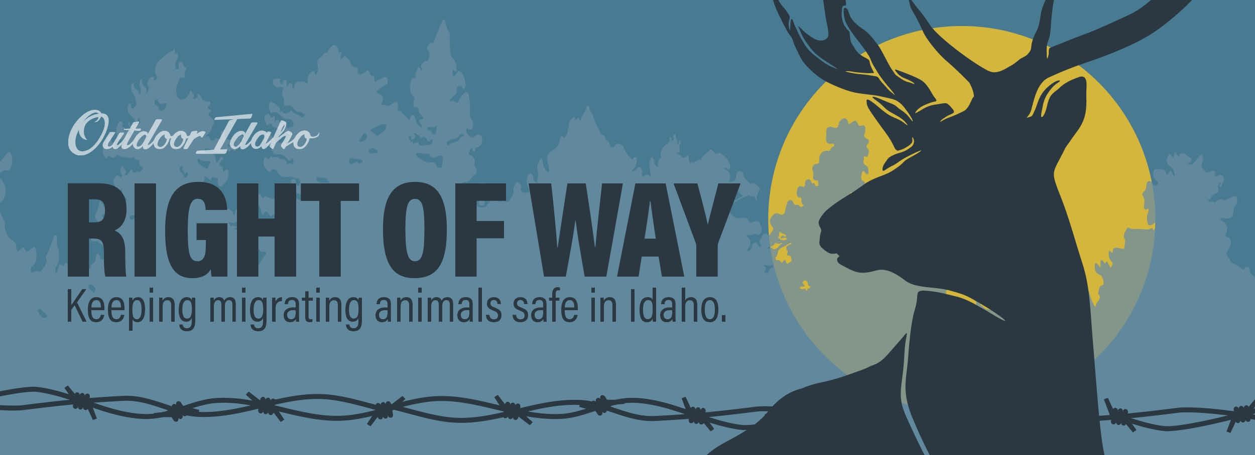 Outdoor Idaho 'Right of Way' images showing a deer and a strand of barbed wire