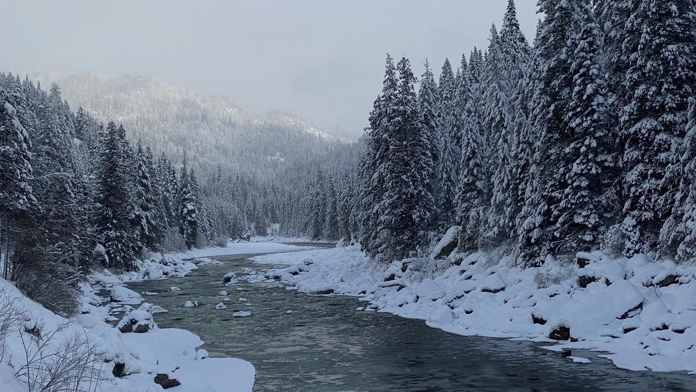 Selway river in the winter
