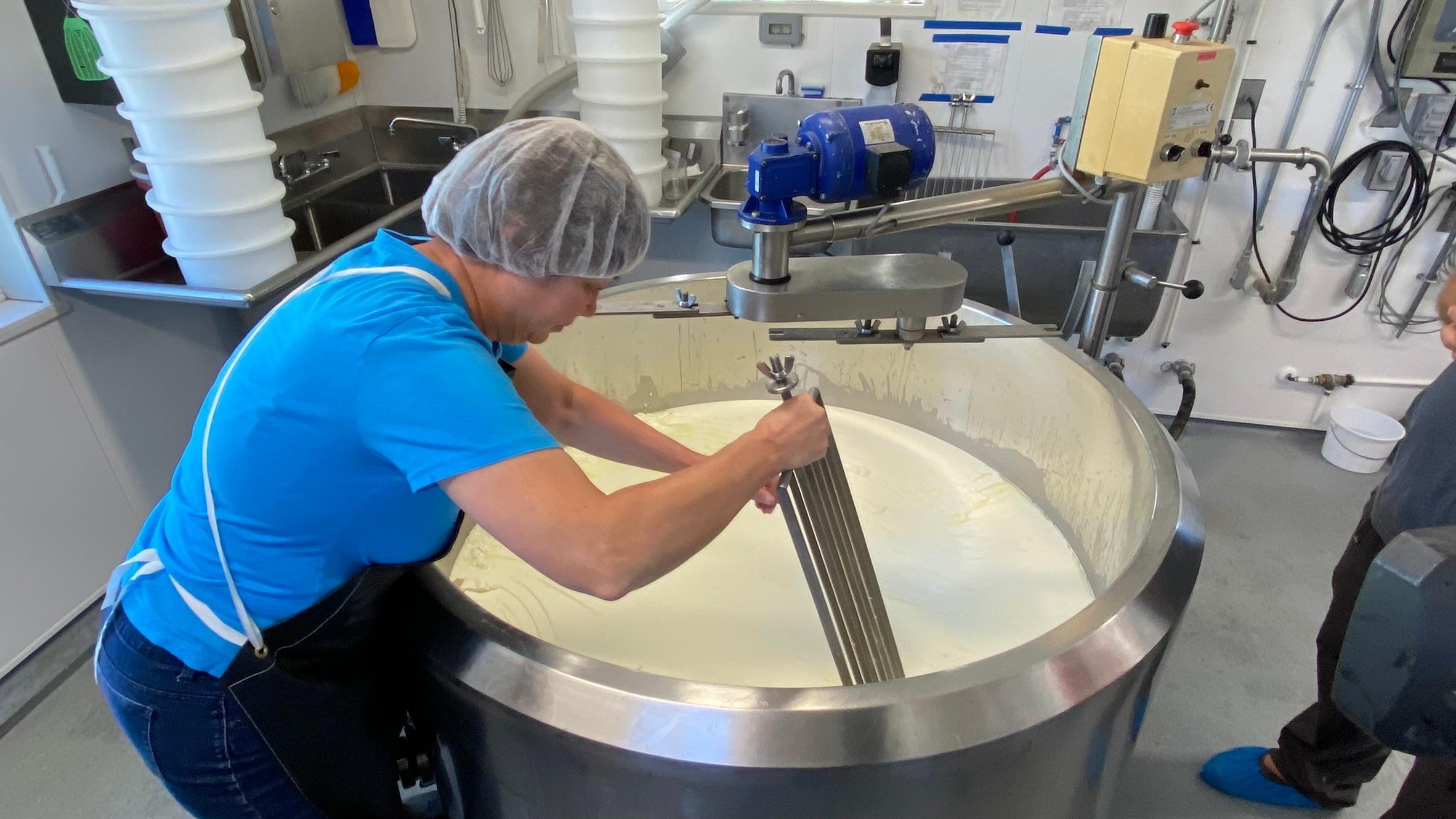 Woman in kitchen stirring an industrial sized vat of milk
