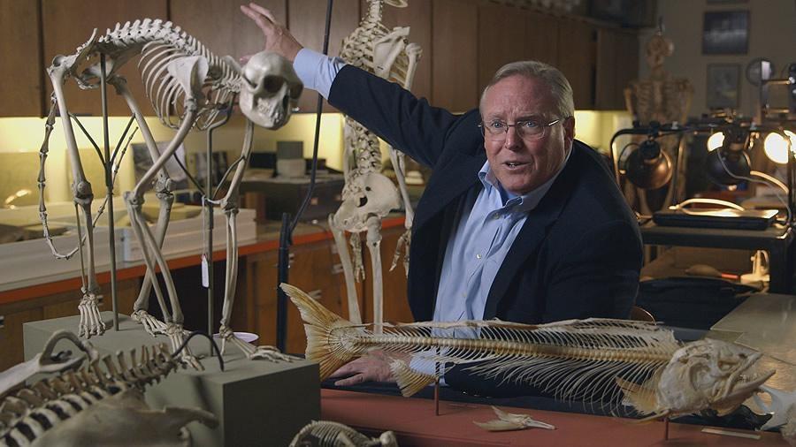 Bruce Latimer surrounded by several animal and human skeletons