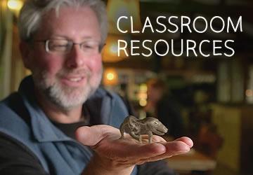 Classroom Resources