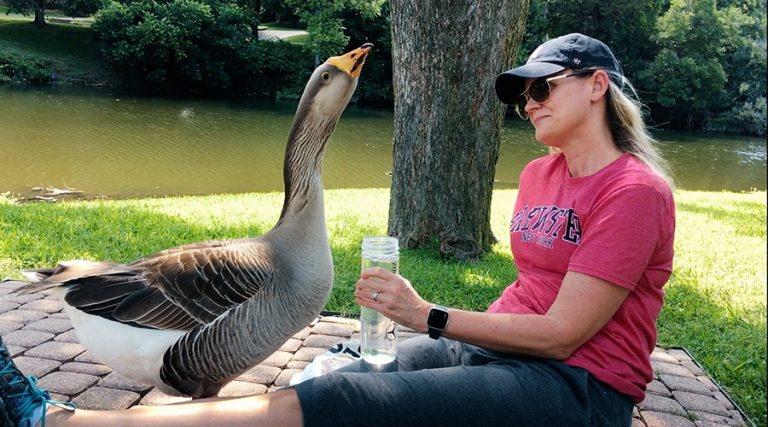 A woman sitting on the ground sharing a drink with a goose.